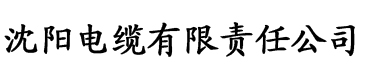 大泽佑香百度影音电缆厂logo